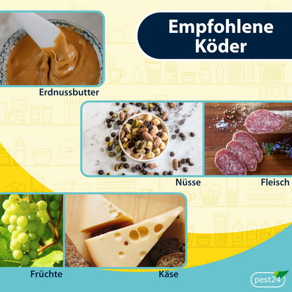 pest24 Mausefalle Schlagfalle 6X