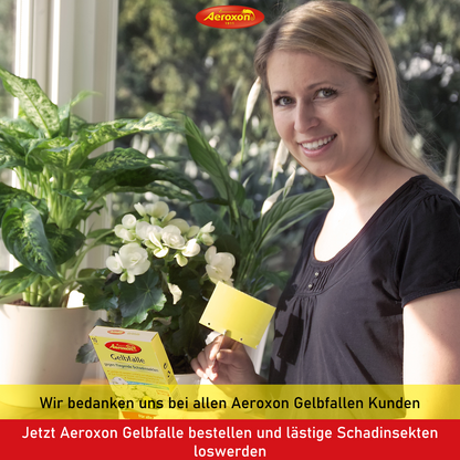 Aeroxon Gelbfalle (Gelbtafel, Gelbsticker)