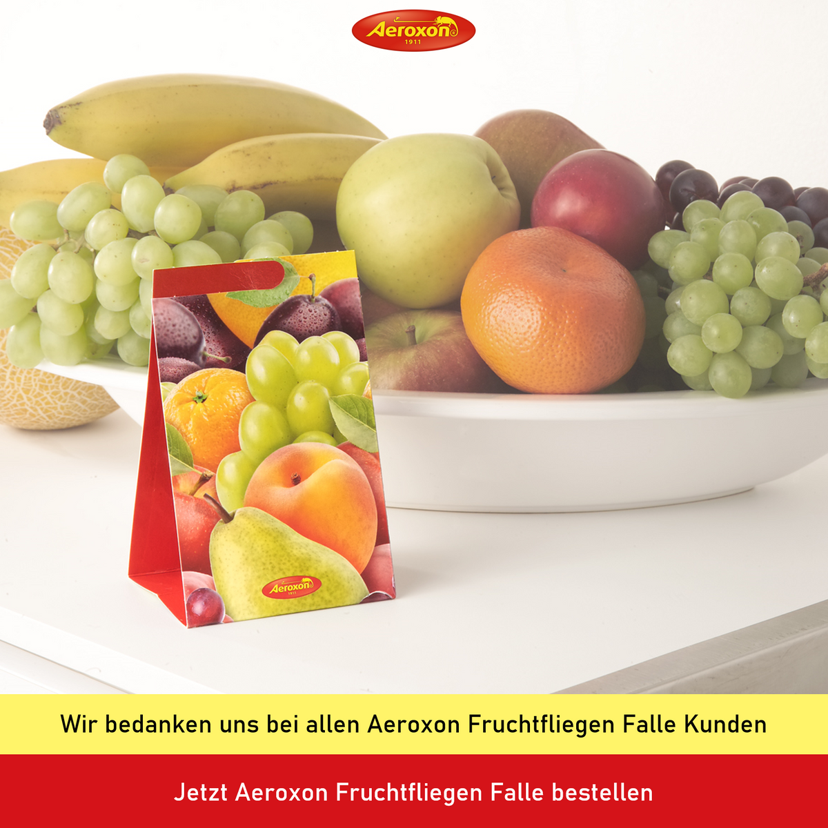 Aeroxon Fruchtfliegenfalle